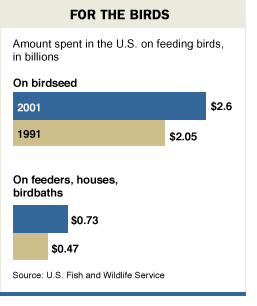 [Chart of Money for the Birds]