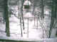 Wet snow on 2/16/03